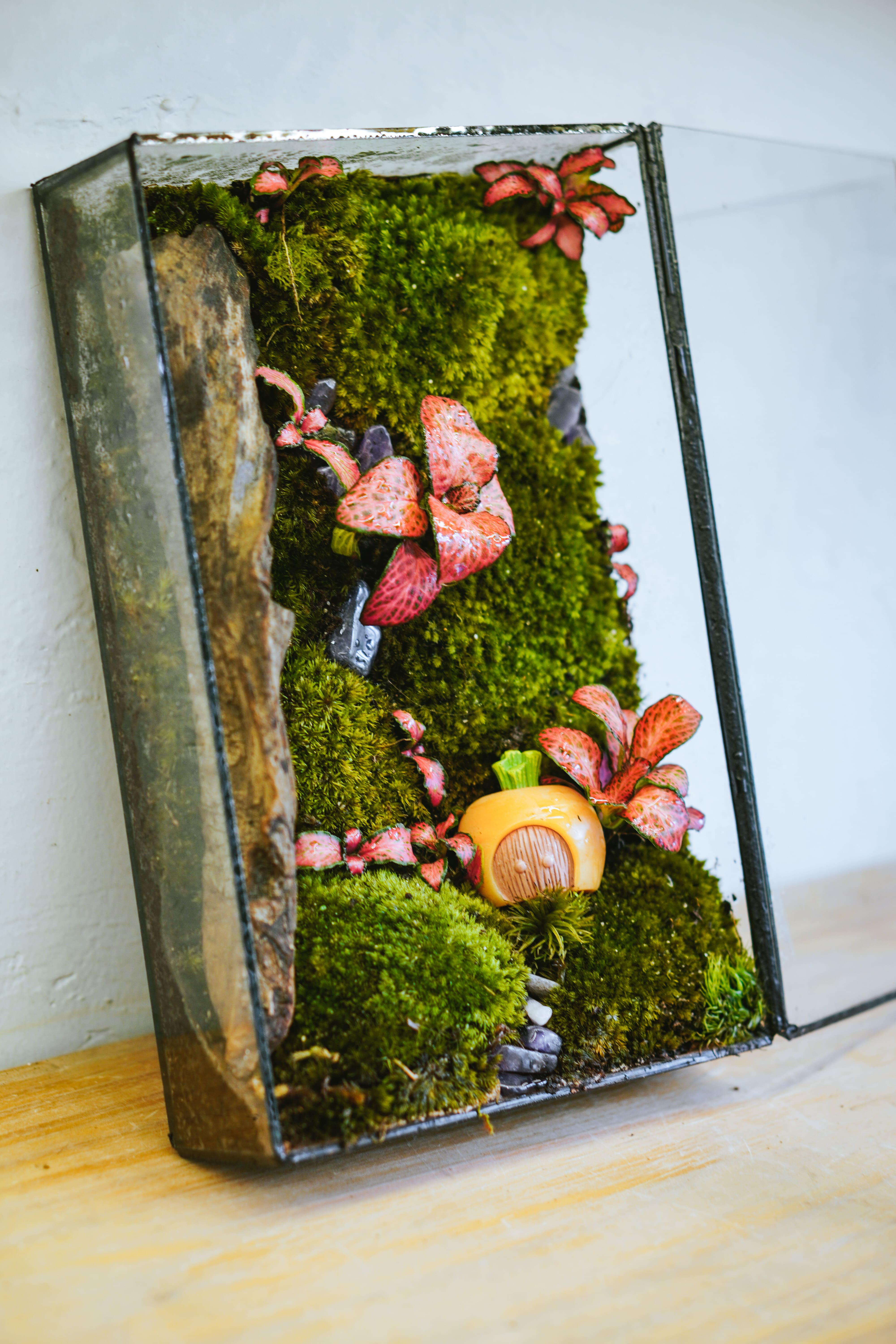 Workshop Bình Terrarium Tinh Thể 3