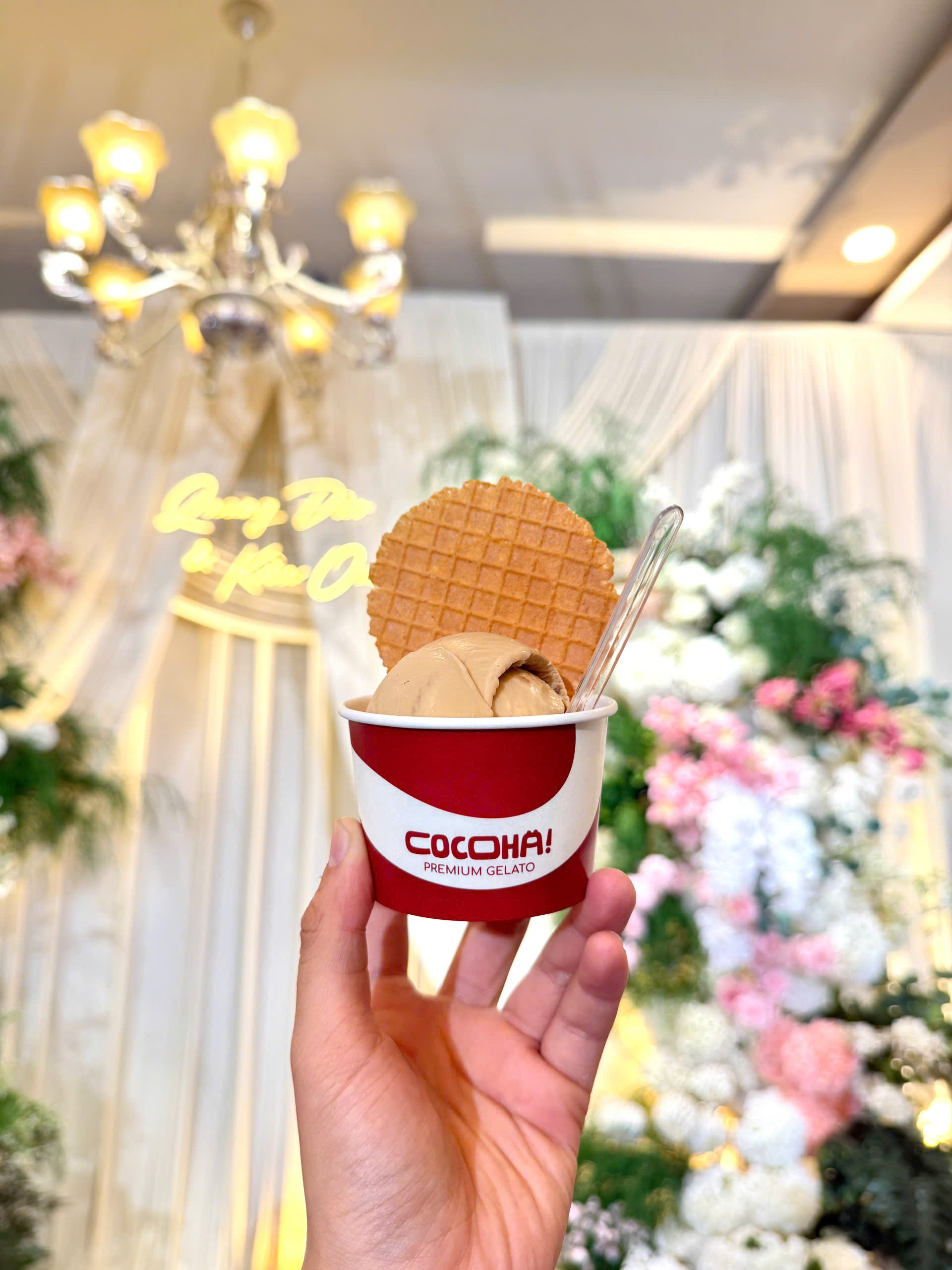 Live Station Dịch Vụ Xe Kem Gelato/ Sorbet  4