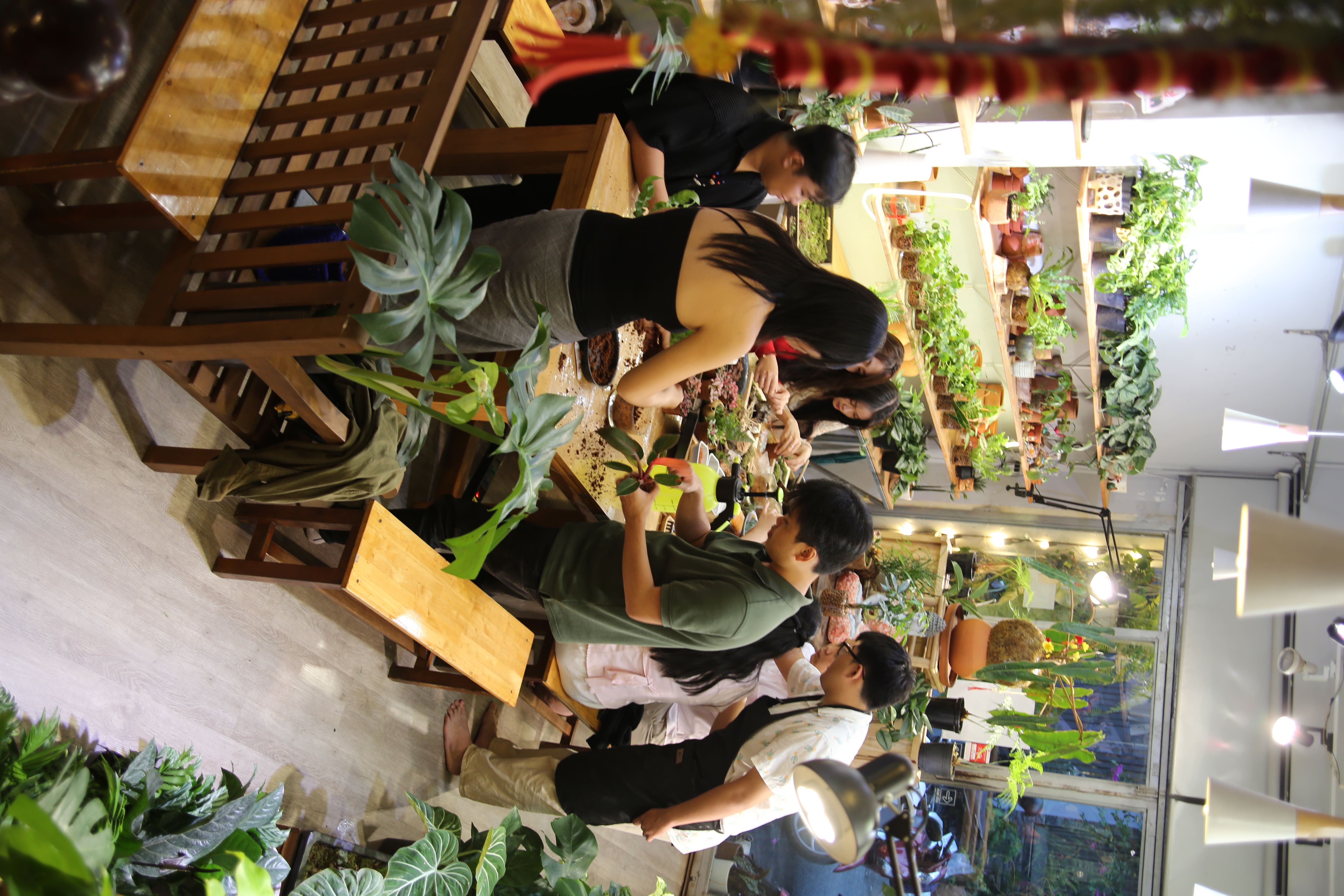 Workshop Quả Cầu Rêu Nhật Kokedama